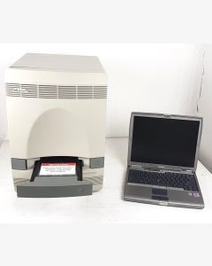 ABI 7500 Real-Time PCR